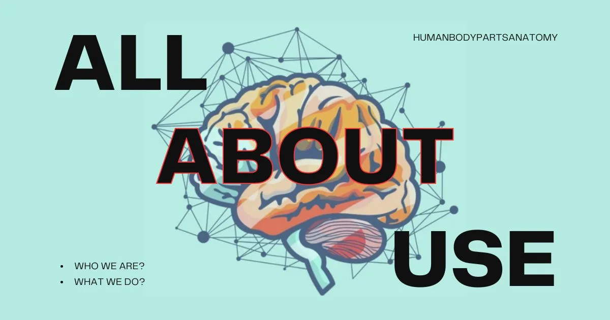 About Us - humanbodypartsanatomy.com