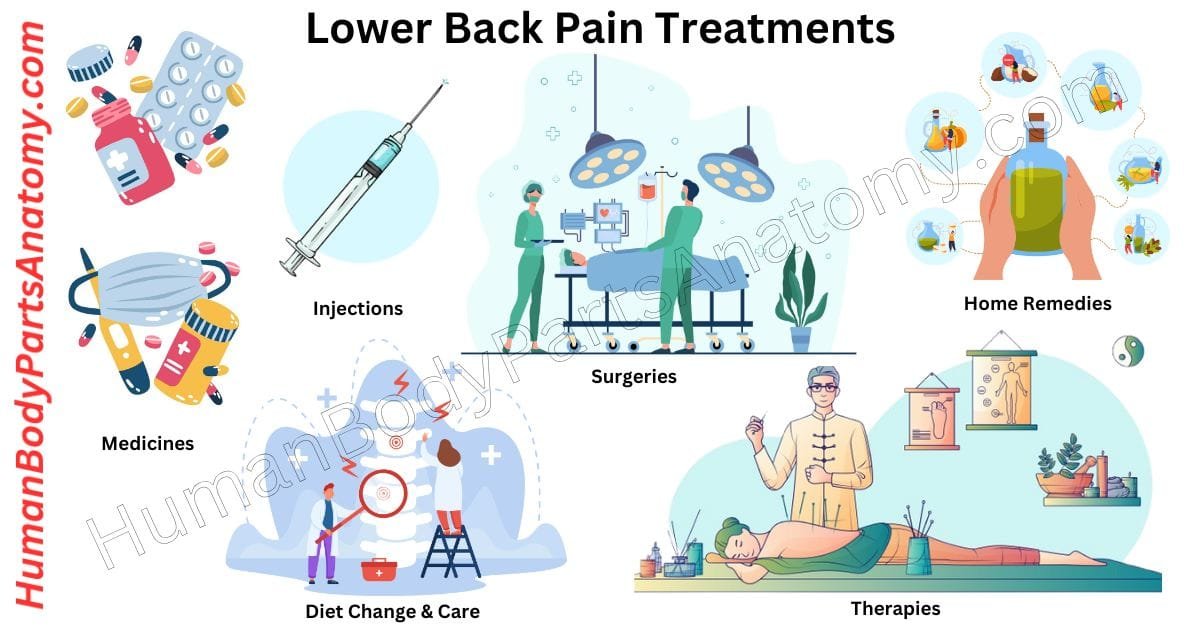 Lower back pain diagnosis and treatment with medical tests, physiotherapy, and exercises for spine health