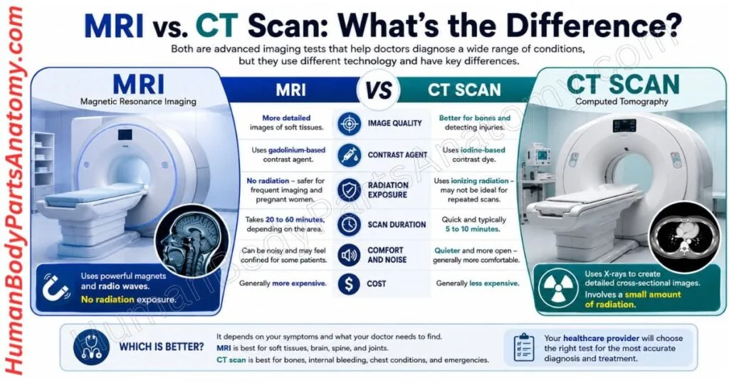 CT Scan vs. MRI Scan
