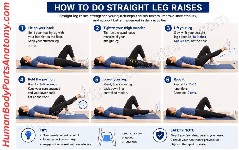 Person lying on their back with one knee bent and the opposite straight leg lifted about 12 inches off the floor. Straight Leg Raises for Pain Relief