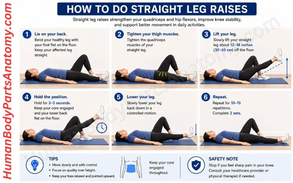 Person lying on their back with one knee bent and the opposite straight leg lifted about 12 inches off the floor. Straight Leg Raises for Pain Relief